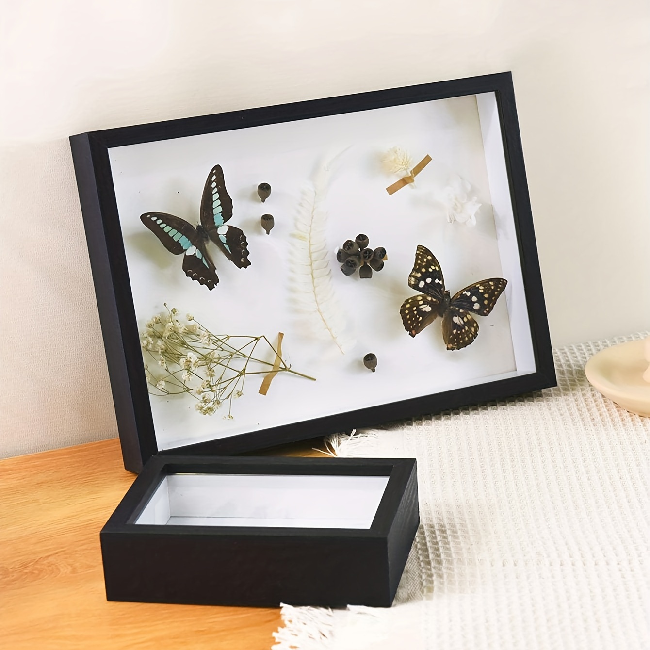 Dried Flower Display Frame, Butterflies Display Boxes