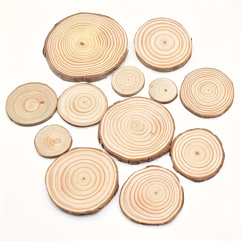 Unfinished Natural Tree Bark Wood Multi size Disc Temu United