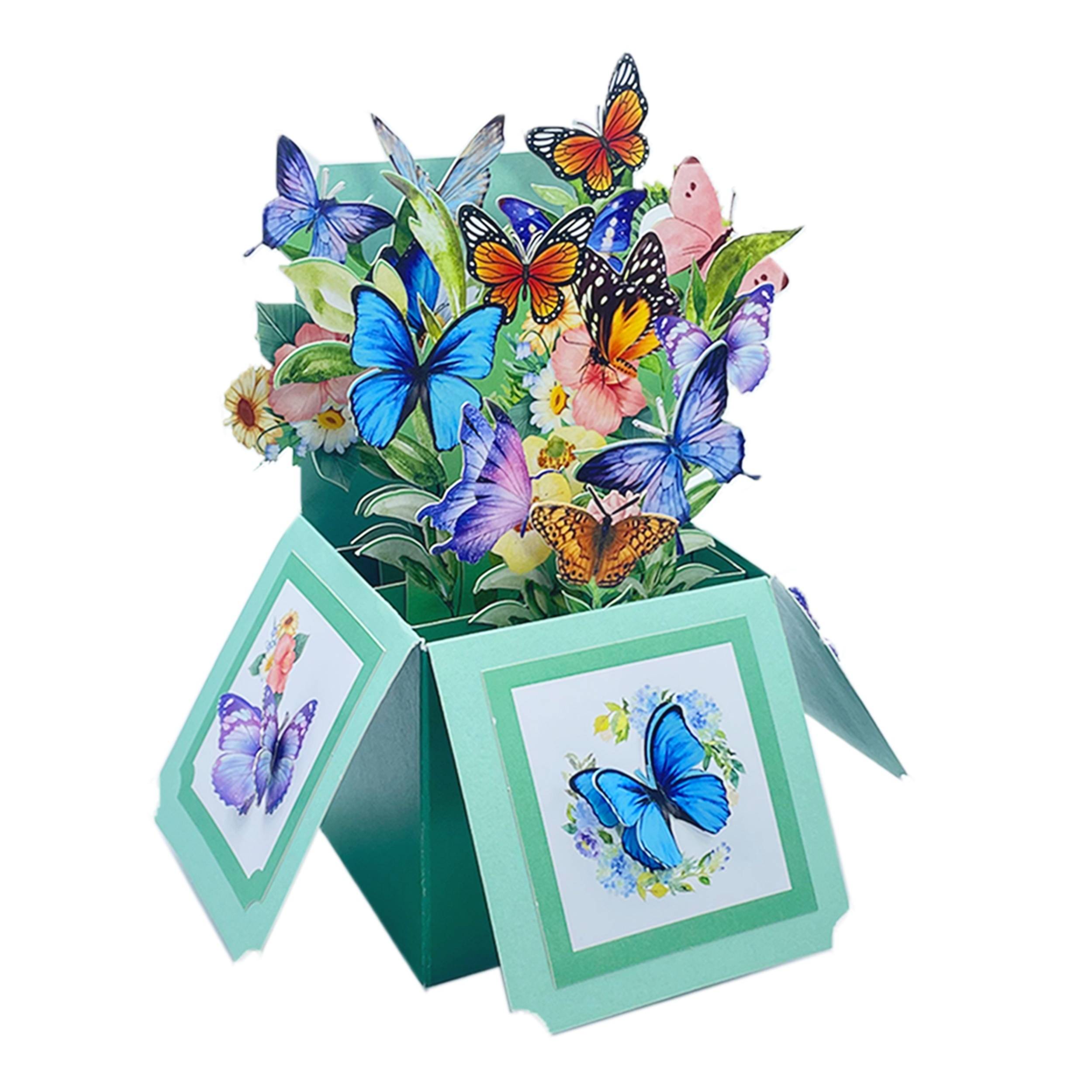 Papillon, carte pop-up, carte 3D, carte de félicitations -  France