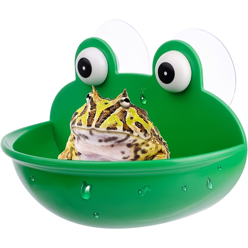 Frog tank decorations sale