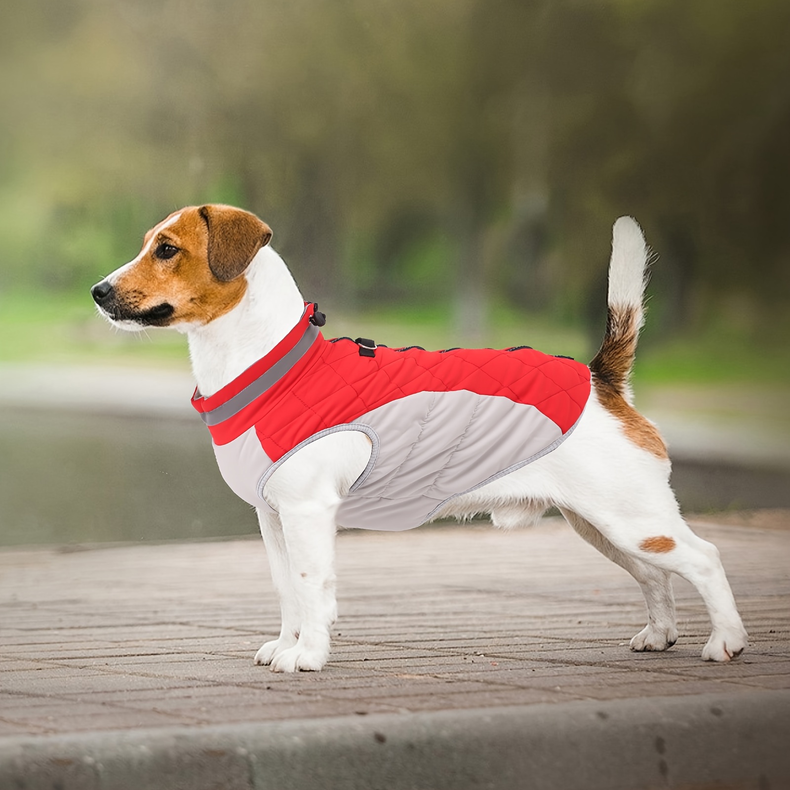 Manteau pour chien avec anneau en D, vêtements pour chiens de petite et  moyenne taille, tenues
