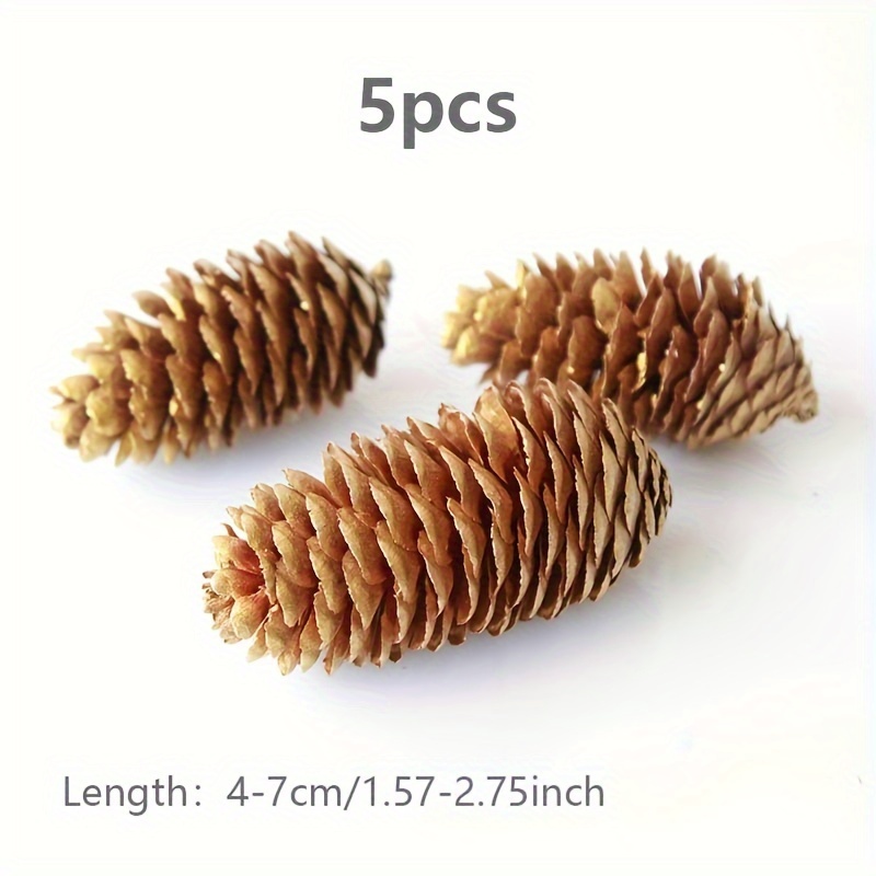 100pcs Christmas Mini Pine Cones - Thanksgiving Pine Cone Ornaments DIY  Crafts, Home Decoration, Fall And Christmas, Wedding Decoration
