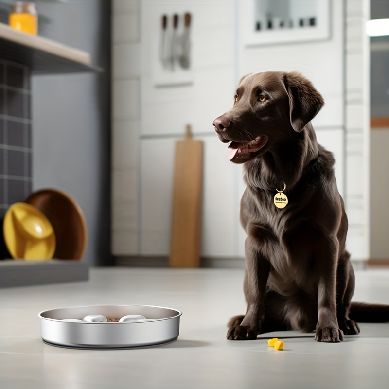 Slow Feeder Dog Bowl Anti Vomiting Dog Puzzle Food Bowl - Temu