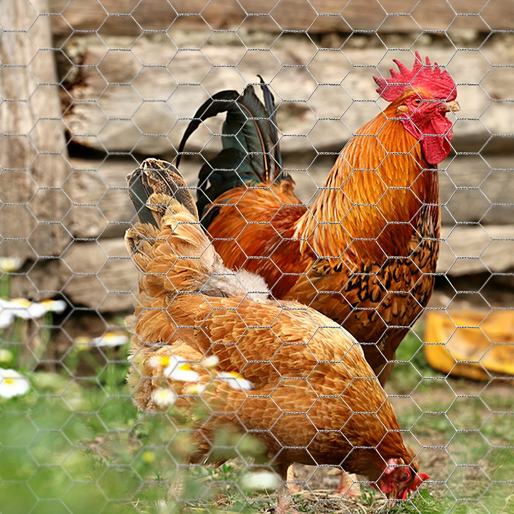  Malla de alambre de plástico para pollo, malla hexagonal de  plástico para aves de corral, barrera de animales de esgrima de malla de  jardín, marco de alambre de pollo para manualidades
