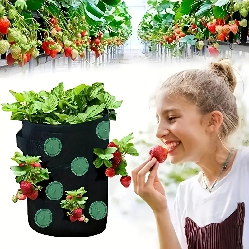 Hanging Grow Bags Multi-port Strawberry Bag Strawberry Potted Garden  Vegetable Planting Bag Gardening Seedling Plant Growth Bag, Pots, Planters  & Container Accessories - Temu