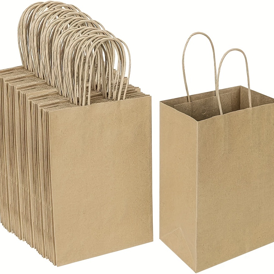 Thick Kraft Paper Bag with Handle 10pcs Blank DIY Paper Bags, Perfect  Craft,Shopping,Packaging,Retail,Party,Wedding,Recycled, Business,Xmas  Gift,Goody