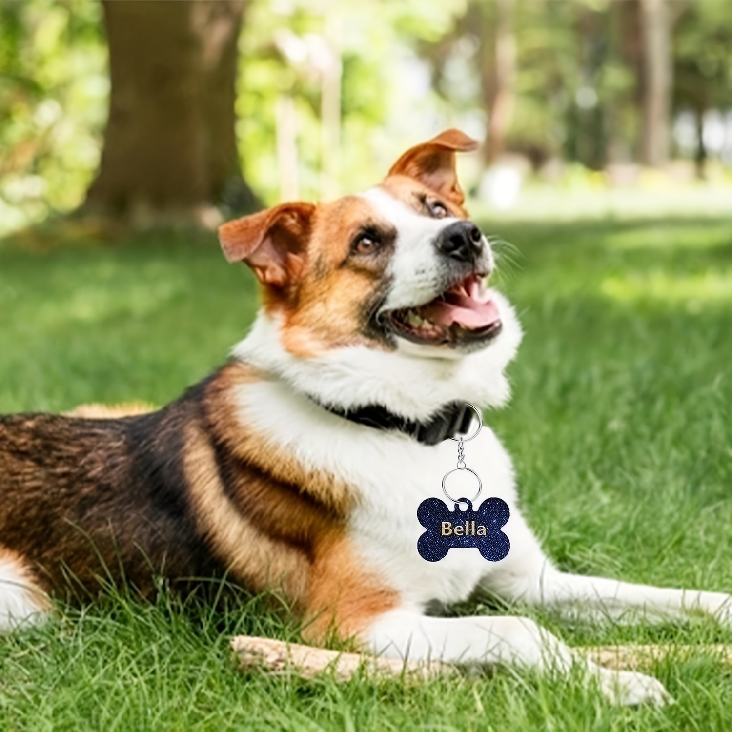 Silicone Dog Tag Mold Epoxy Resin Dog Tag Molds Dog Bone - Temu