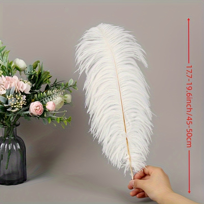 Wholesale Large White Ostrich Feathers for Crafts Wedding Party Table  Centerpiece Home Vase Decor Jewelry Decoration Accessories