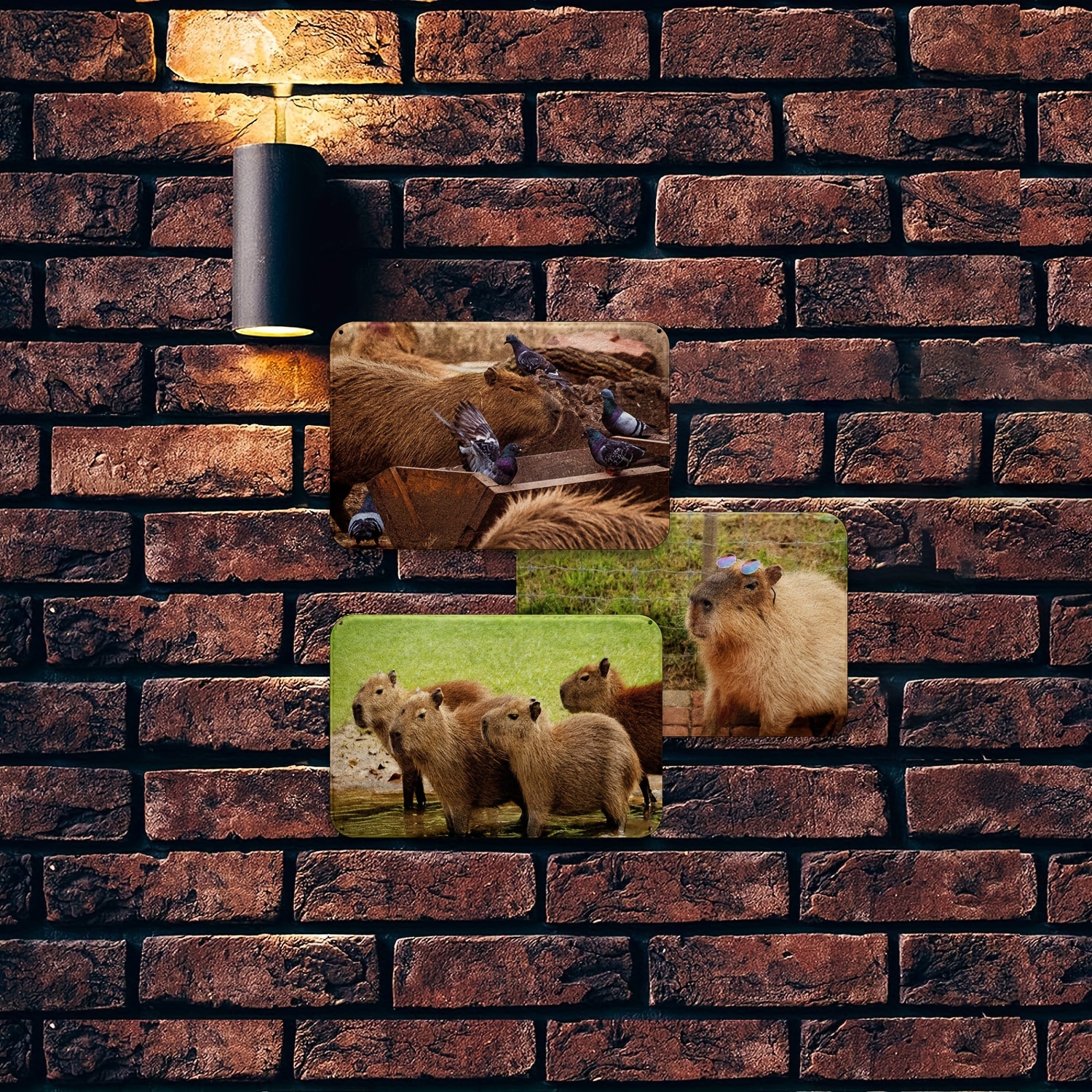 Capybara Metal Sign Vintage Tin Wall Art Poster Home Garden - Temu