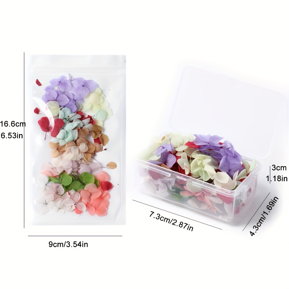 Bluethy Nail Art Flower Decoration Multiple Color Nail Beauty UV Glue  Filler Nail Charm Dried Flower Decoration Nail Supplies 
