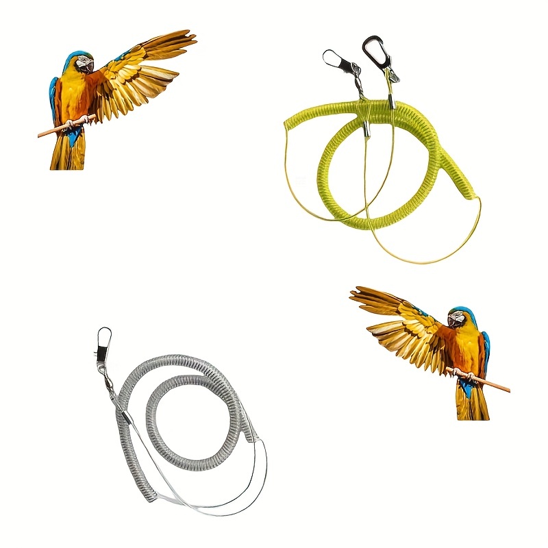 Harnesses For Parrots - Temu