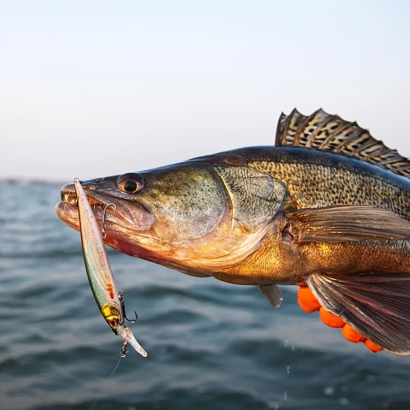 Organize Fishing Tackle Multifunctional Double sided Storage - Temu Canada