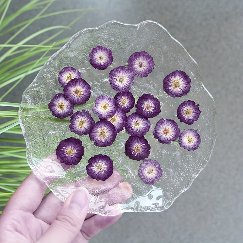 Rosas púrpuras secas / Flores secas / Rosas pequeñas / Joyas de resina /  Decoración de flores secas -  España