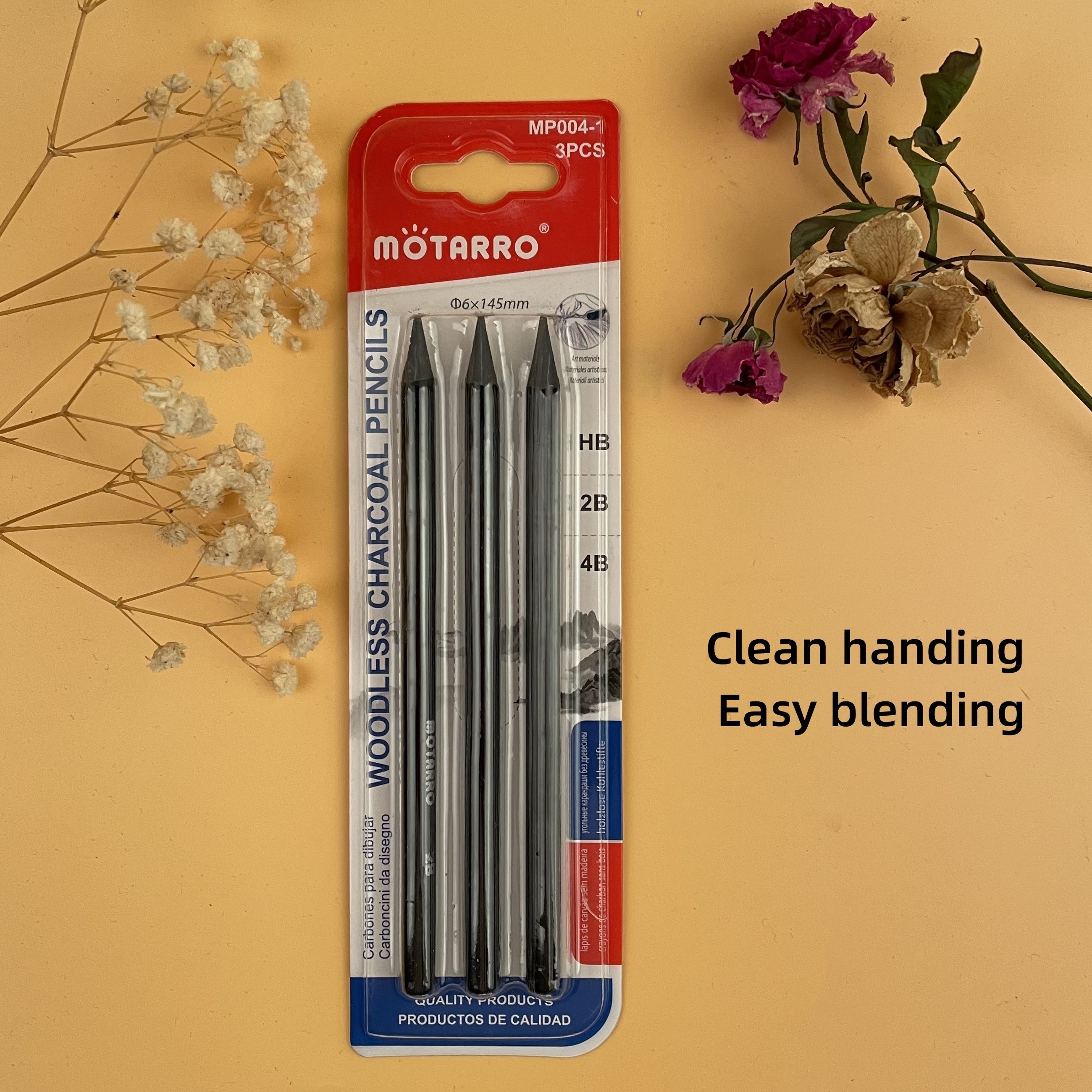 Definite Woodless Graphite Charcoal Pencils - HB