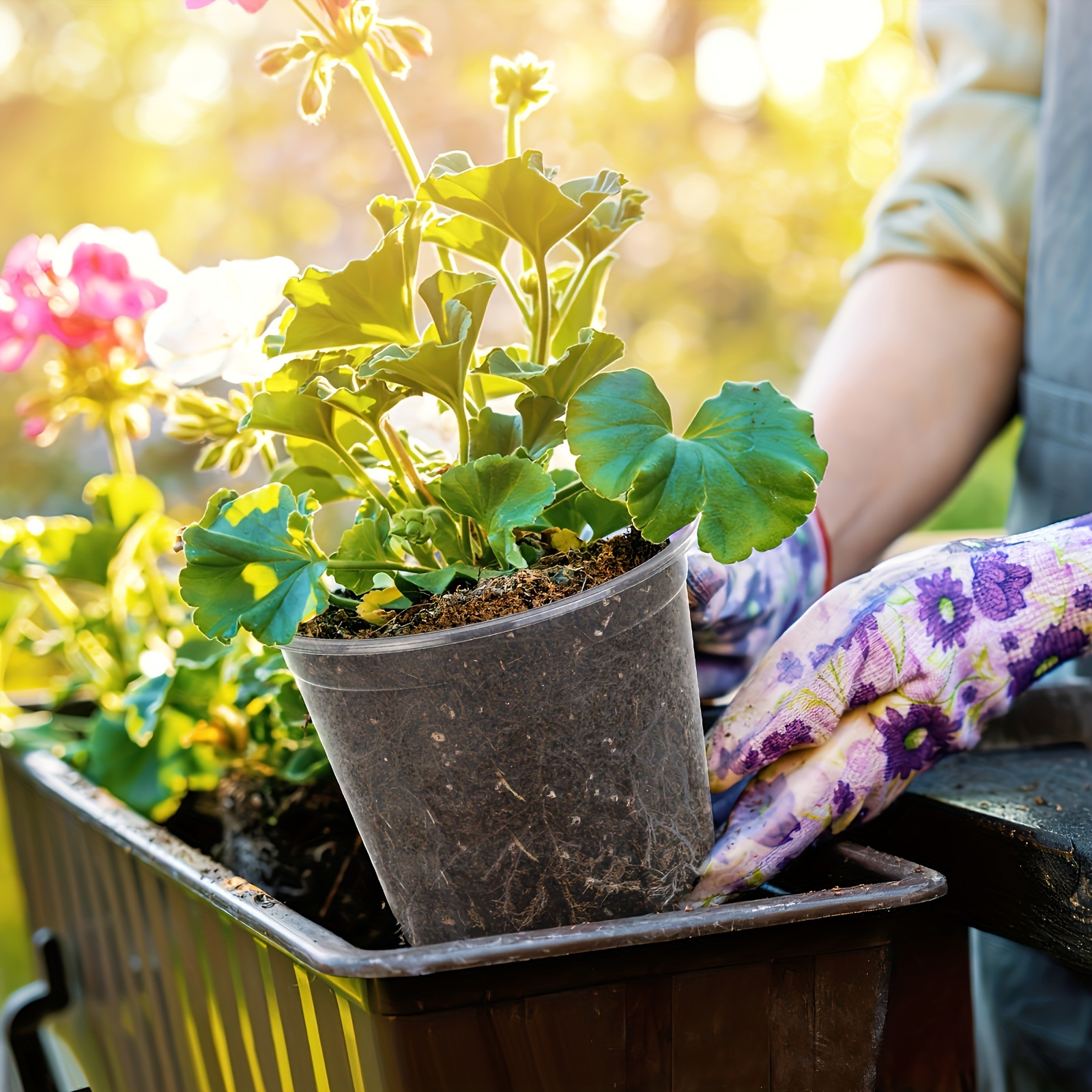 Original Earthlings - The Happiest Little Plant Pots On Earth –  originalearthlings