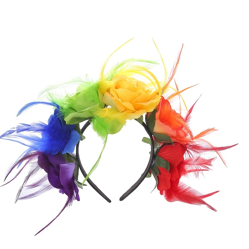 Cerchietto per Capelli con Piume, Accessori per Capelli da Festa per  Ragazze e Donne Fascia di Piume Colorate Cerchietto di Piume Nere per  Carnevale, Festa di Compleanno, Cosplay (iridescente) : : Giochi