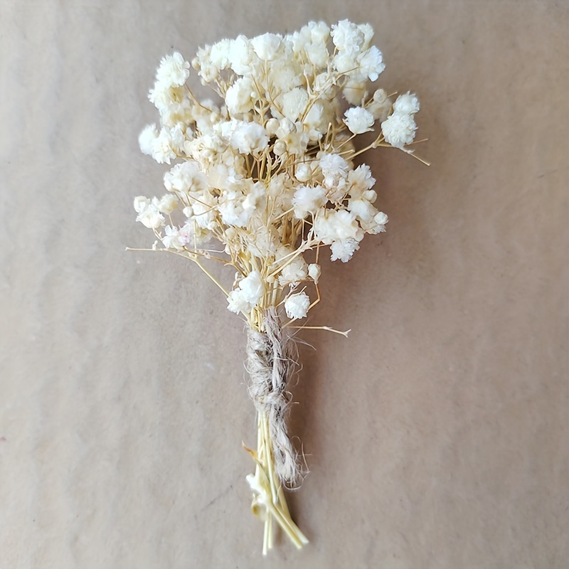 Concari.flores Preservadas - RAMO VARIADO SMALL (PRESERVADO Y SECO)