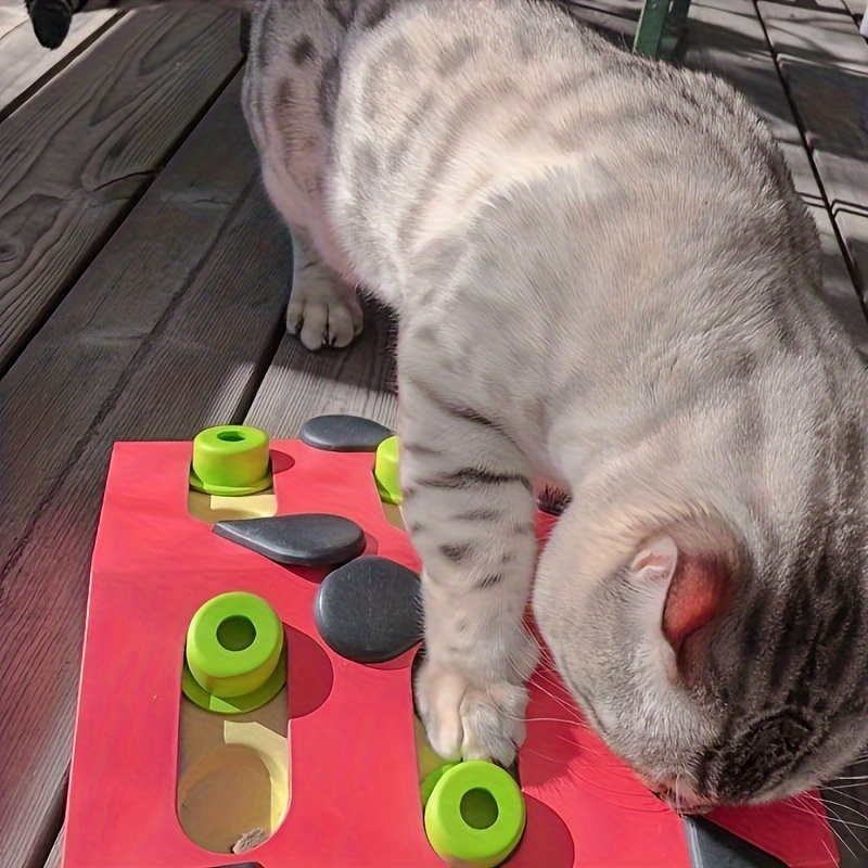 Melon Madness Interactive Cat Treat Puzzle