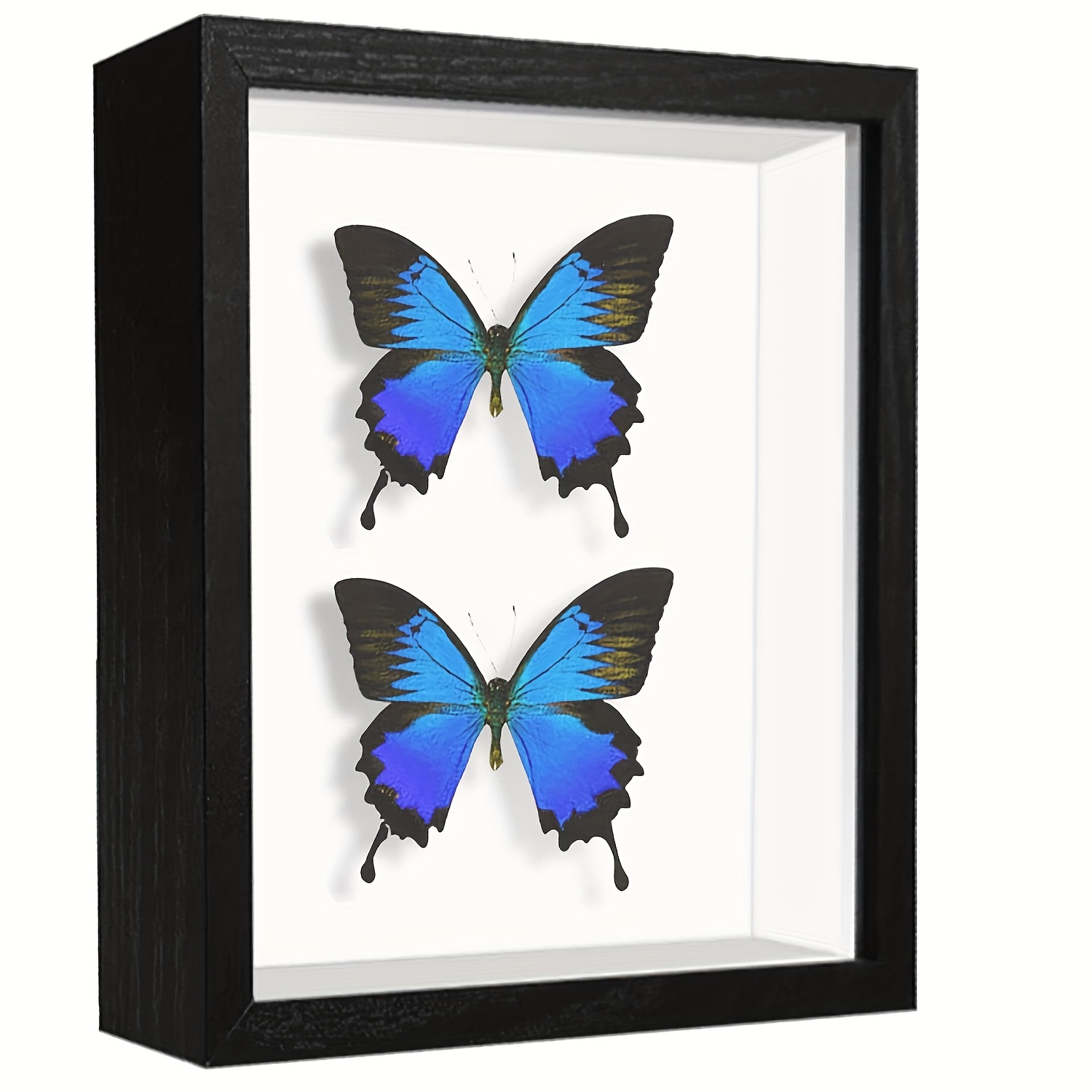 8x8 Shadow Box Frame Display Case With Letter Stickers 3d - Temu