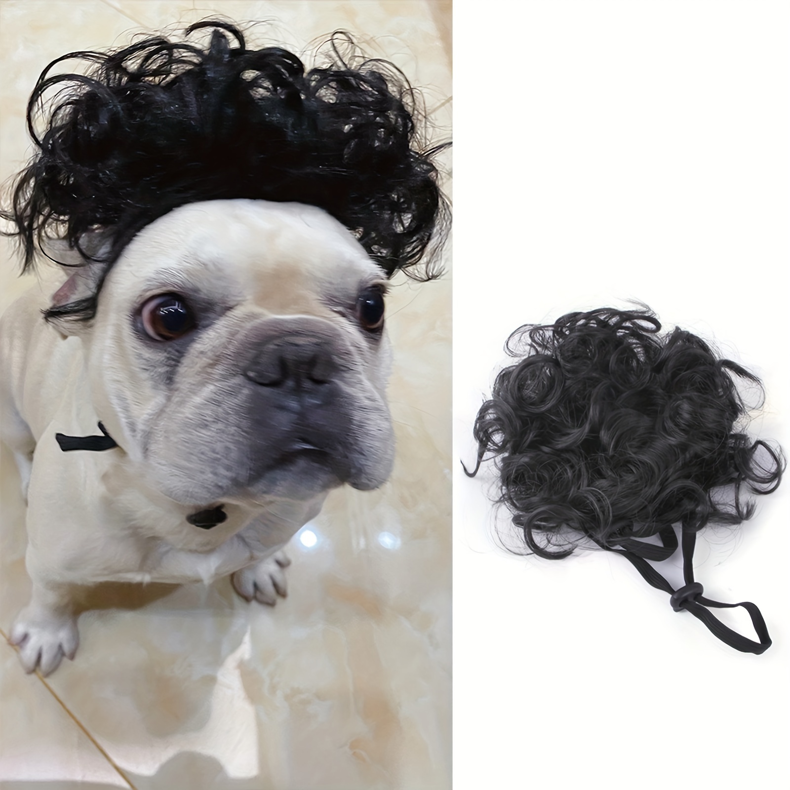 Black wig clearance on white dog