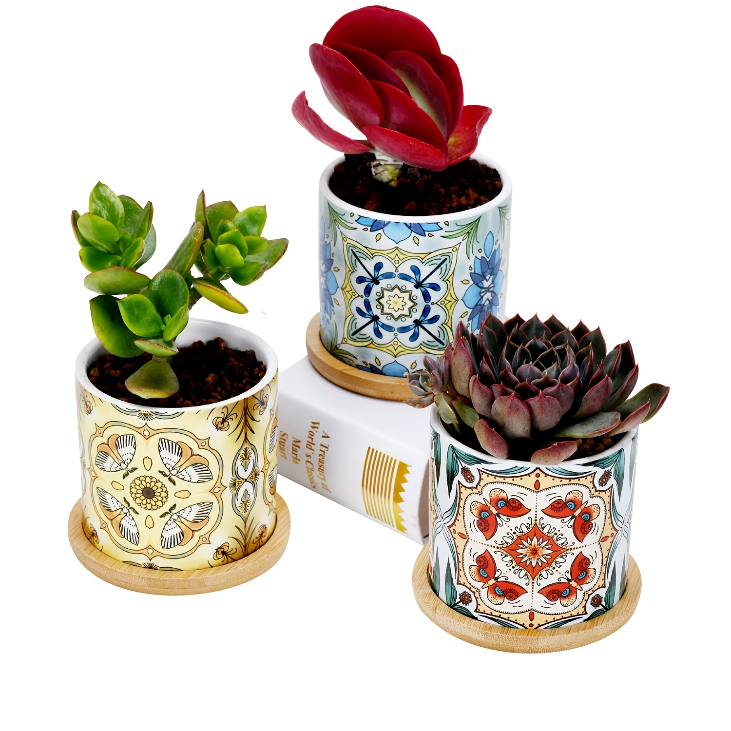 Vaso porcellana cactus — Vasi in Ceramica