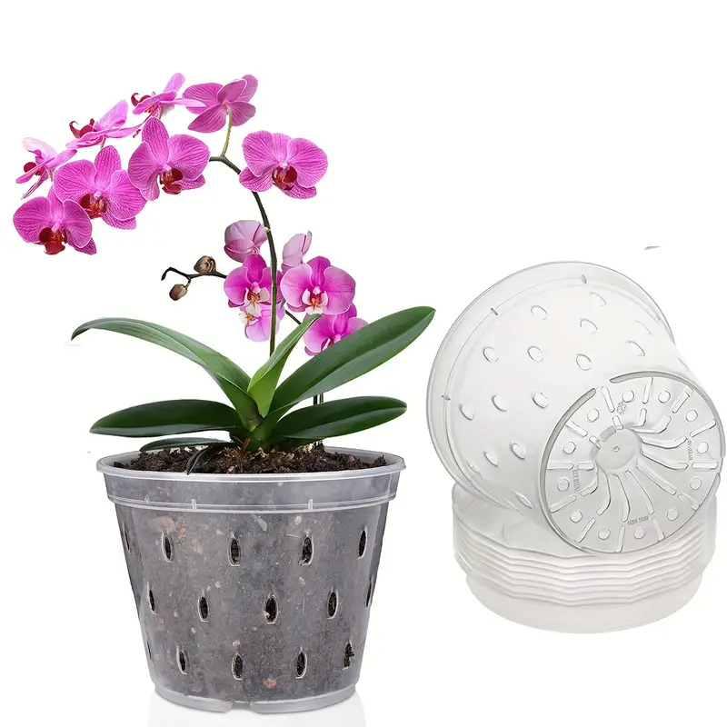 5 Pezzi Vaso Trasparente Orchidee Fori Rinvaso 5 Piatti In