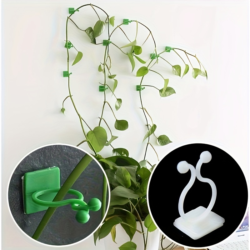10pcs 30pcs plant climbing wall self fasteners tied - Temu Hungary