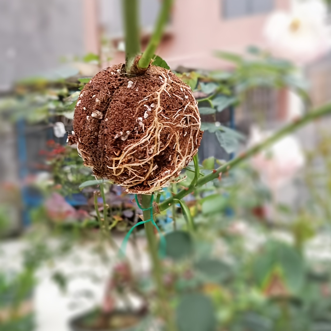Air Layering Propagation Kit Tree Root Growing Box Reusable