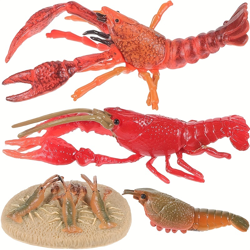 Lobster Toy Sea Animal Growth Toys Life Cycle Crab Realistic - Temu Canada