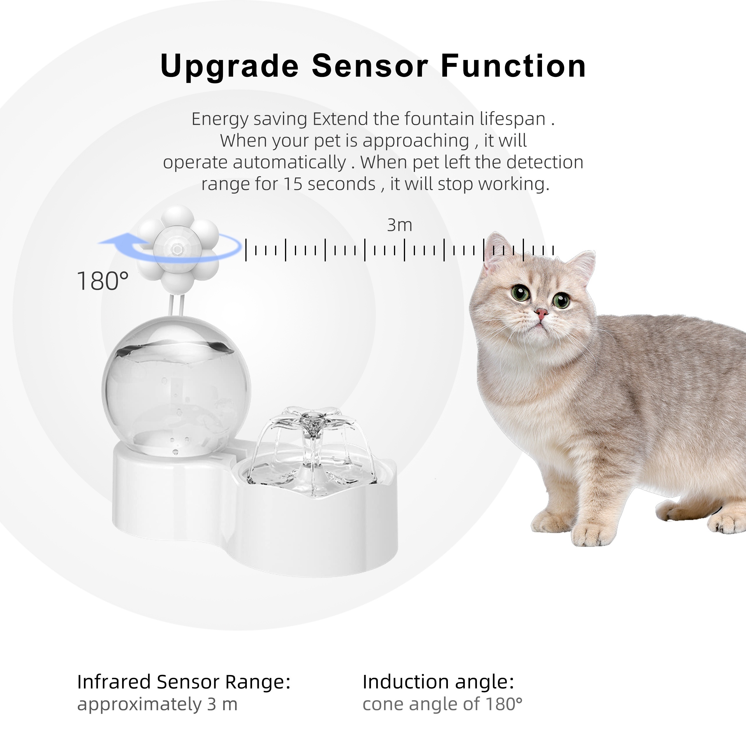 Cat water clearance fountain the range