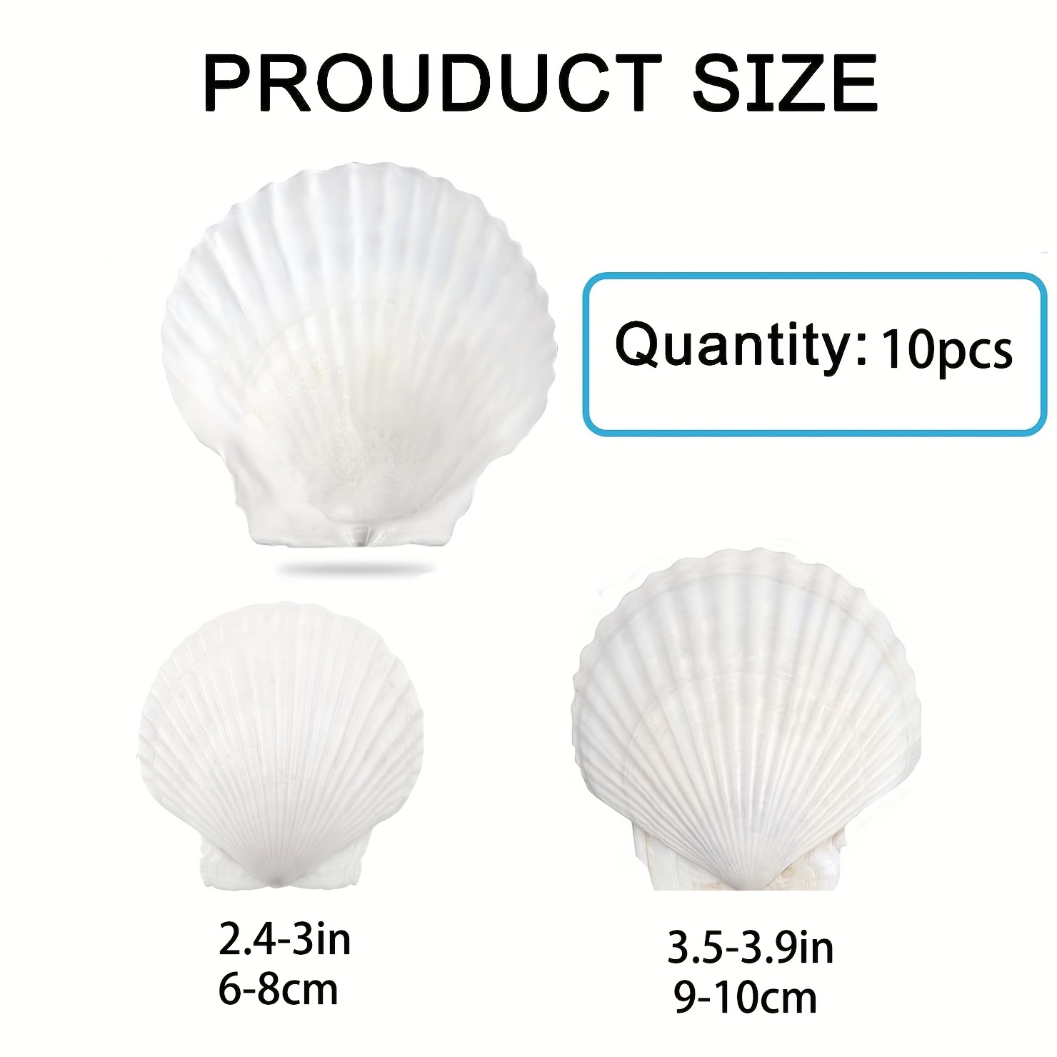 5pcs Sea Shells For Crafts Decoration Crafting White Scallop Shells, For  Crafts DIY Painting Beaching Wedding Decoration, Beach Natural Scallop  Shells