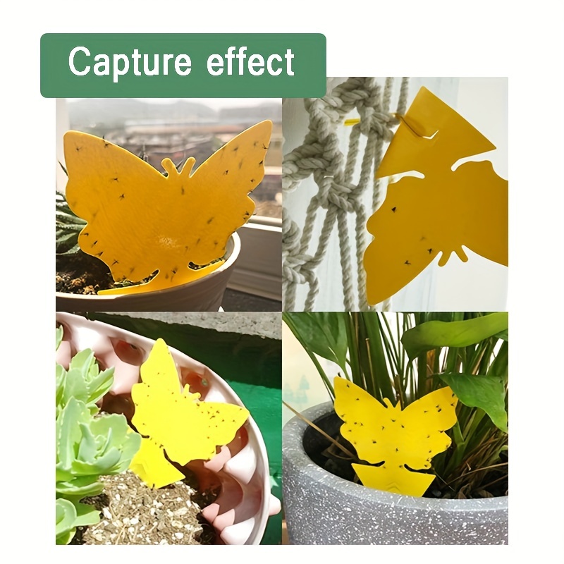 Double-sided Yellow Board Sticky Insect Board, Balcony Planting