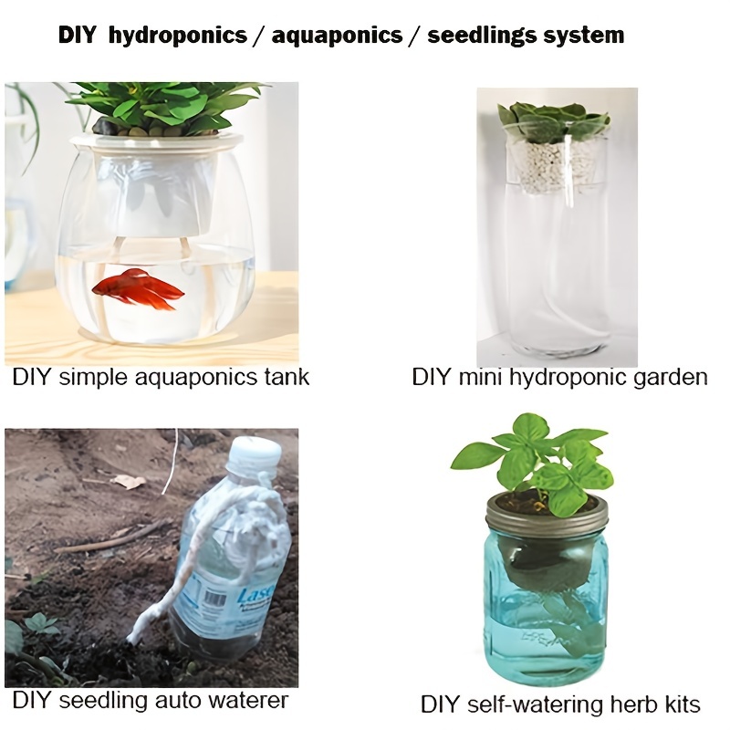 Climate Quick Tip: A DIY Self-Watering Plant System - Bluedot Living