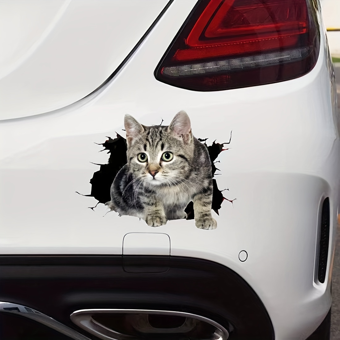 3pcs lustige kletternde Katzen Auto Aufkleber, niedliche Haustier Katze  Kratzer Abdeckung Klebstoff Vinyl Aufkleber Auto Aufkleber für Auto Fenster  Tür Dekor