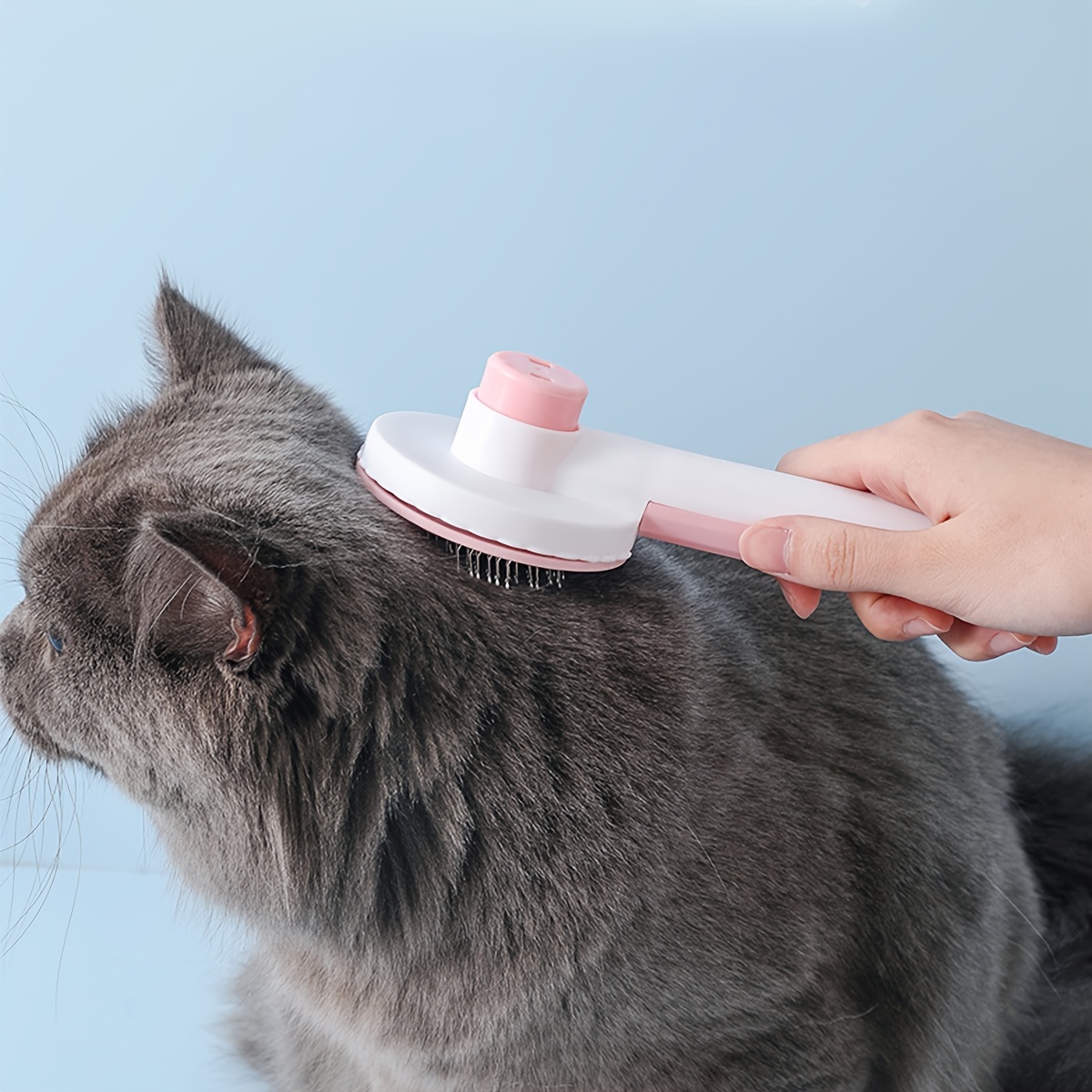Brosse pour chat avec peigne à poils de chat pour le toilettage, brosses  pour animaux
