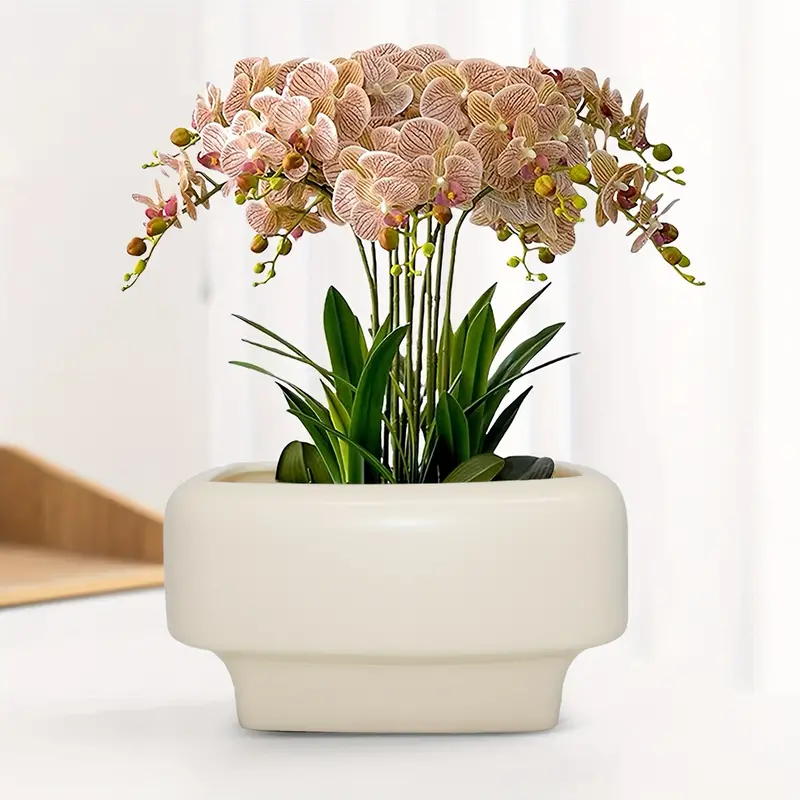 Home, Large Ceramic Flower Pots for Plants
