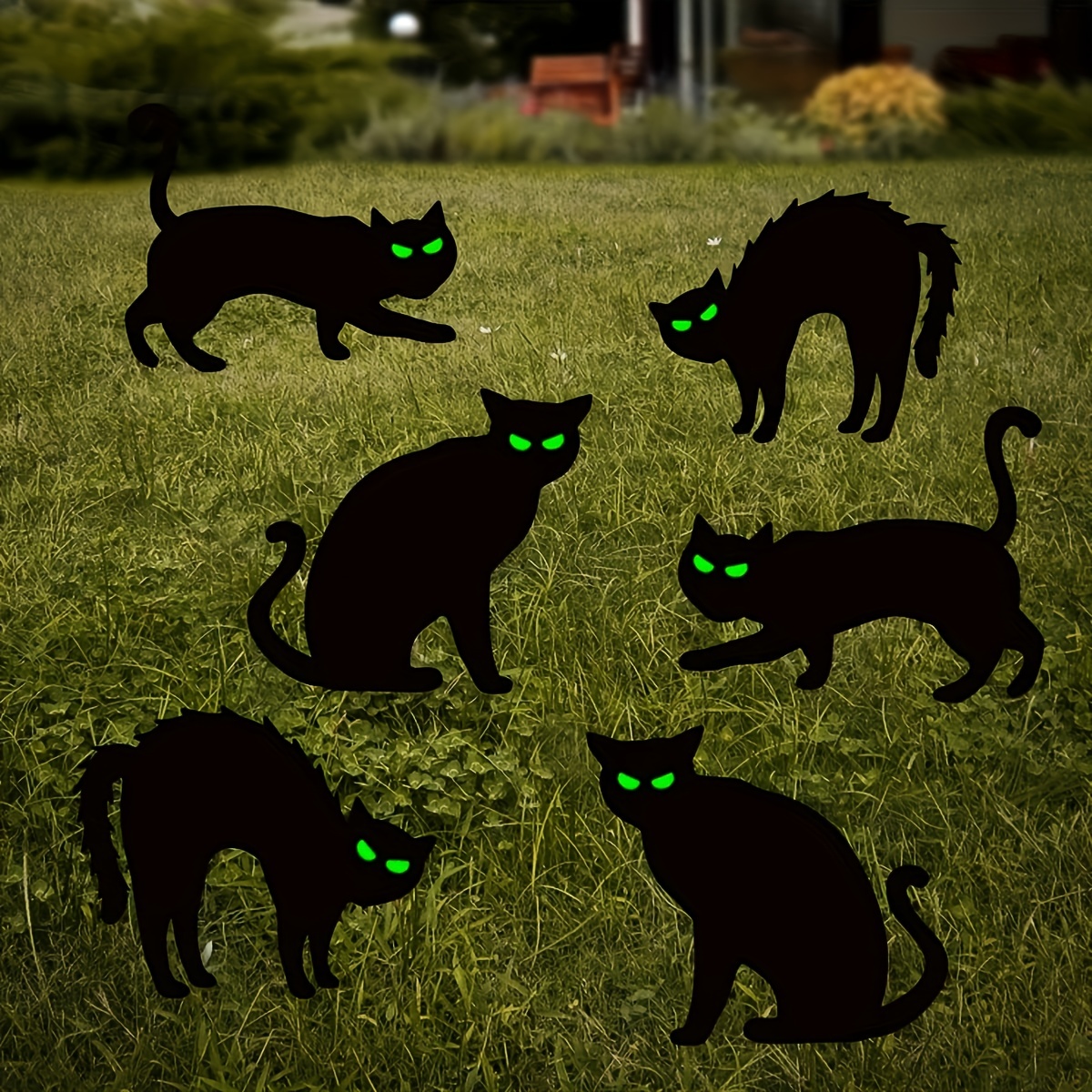 scary black cat in the dark