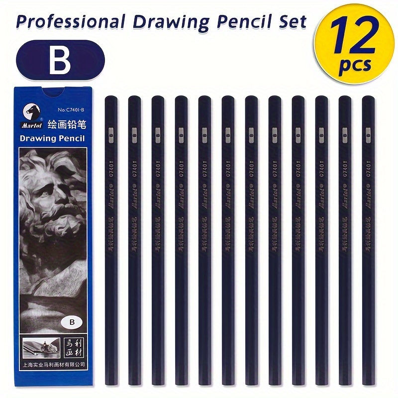  Professional Drawing Sketching Art Pencils Set - 12