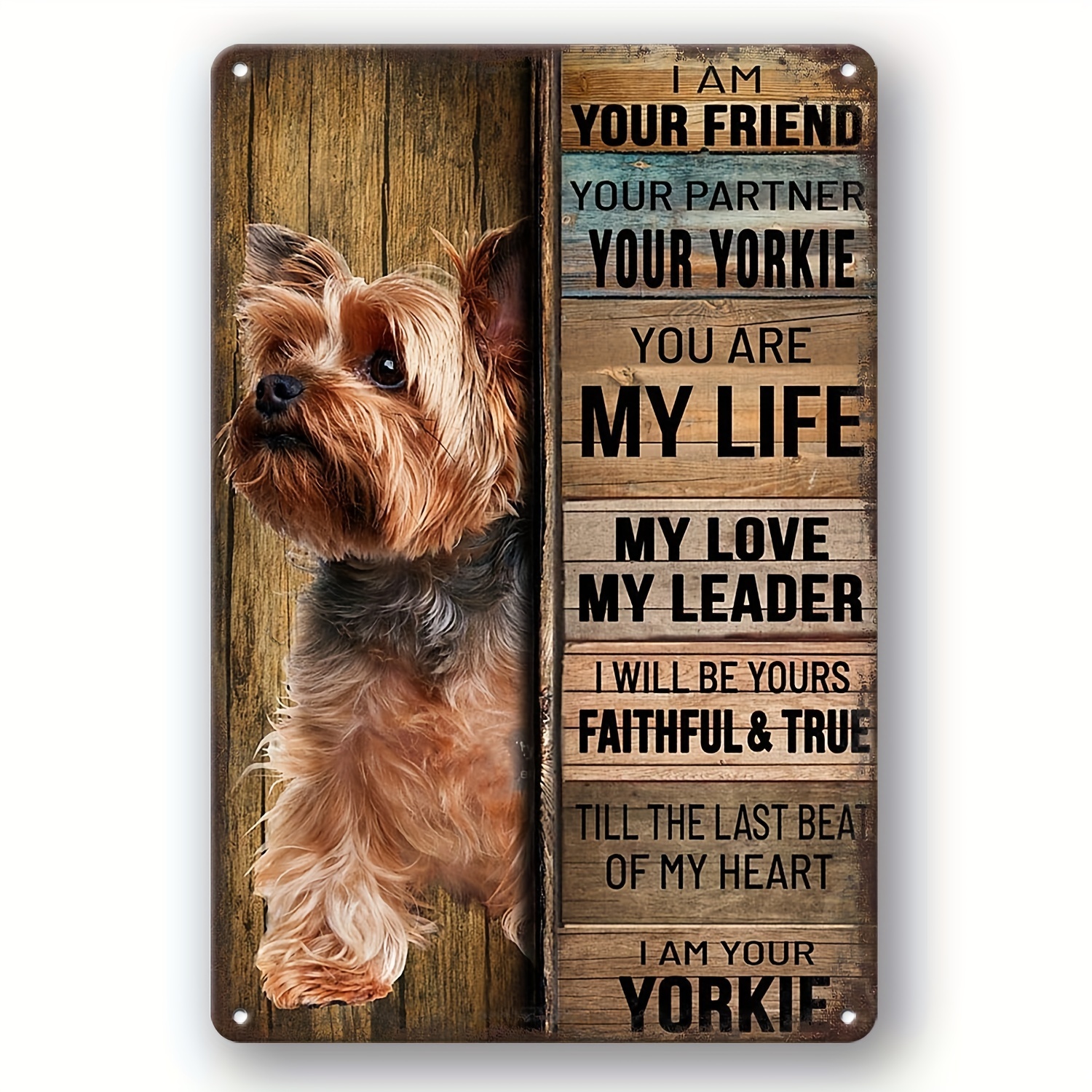 Cute Mini Yorkshire Terrier Doormat Bathroom Rectangle Soft - Temu