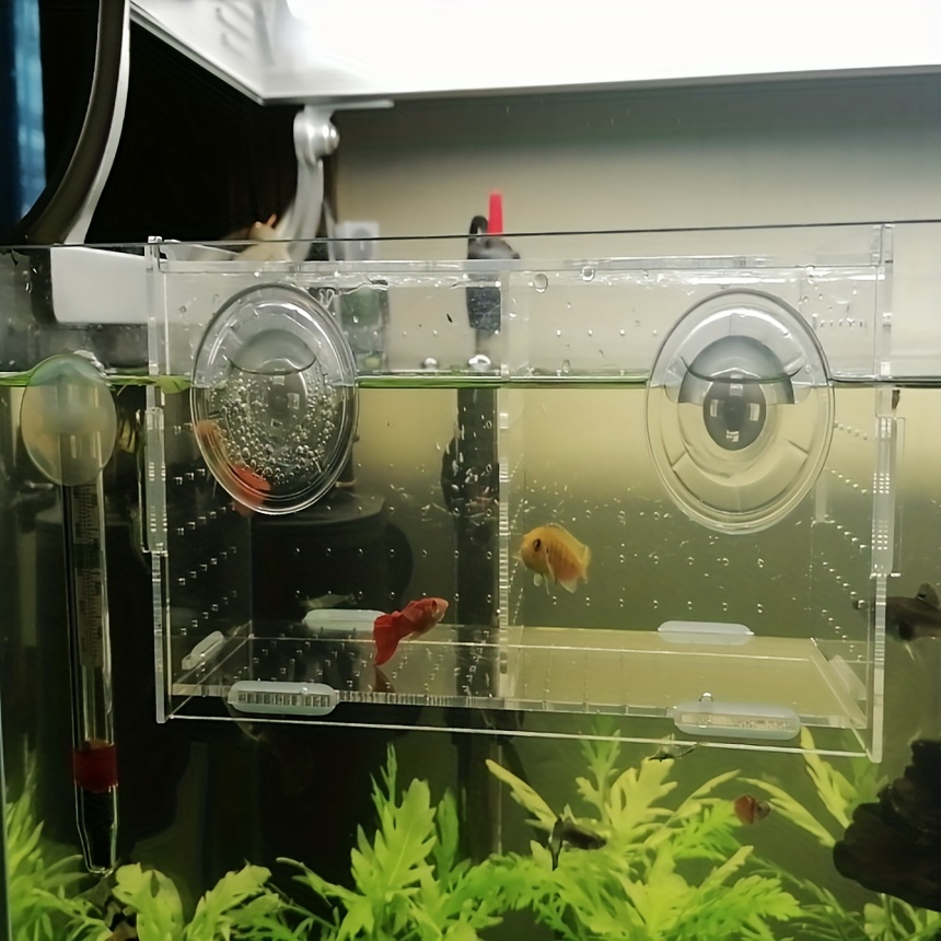 Fish Tank Isolation Box Small Fish Incubator Aquarium Fish - Temu