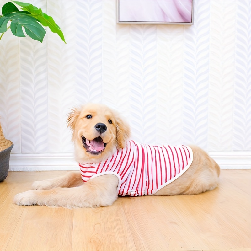 Clothes Golden Retriever, Dog Clothes Golden Retriever