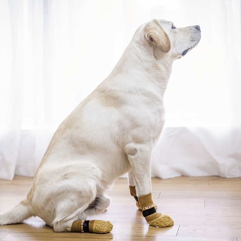 Is Your Pooch Slipping on the Floors? Dog Socks Can Help! – Dog