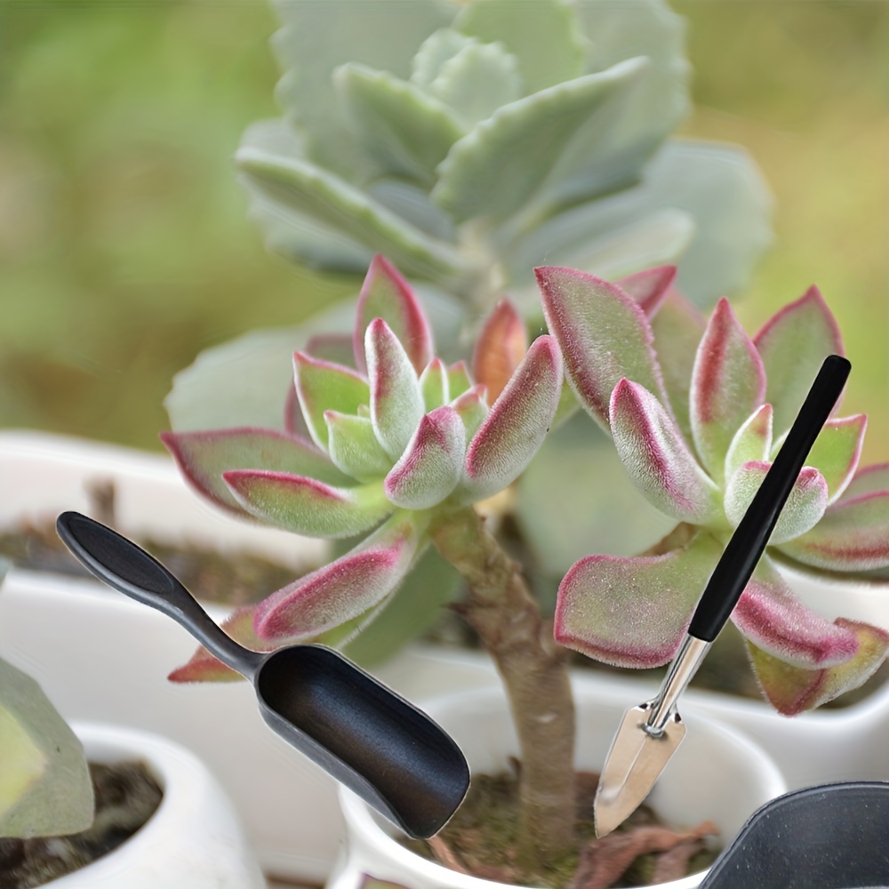 10 Pieces Mini Bonsai Tools Gardening Tool Kit Planting Cactus