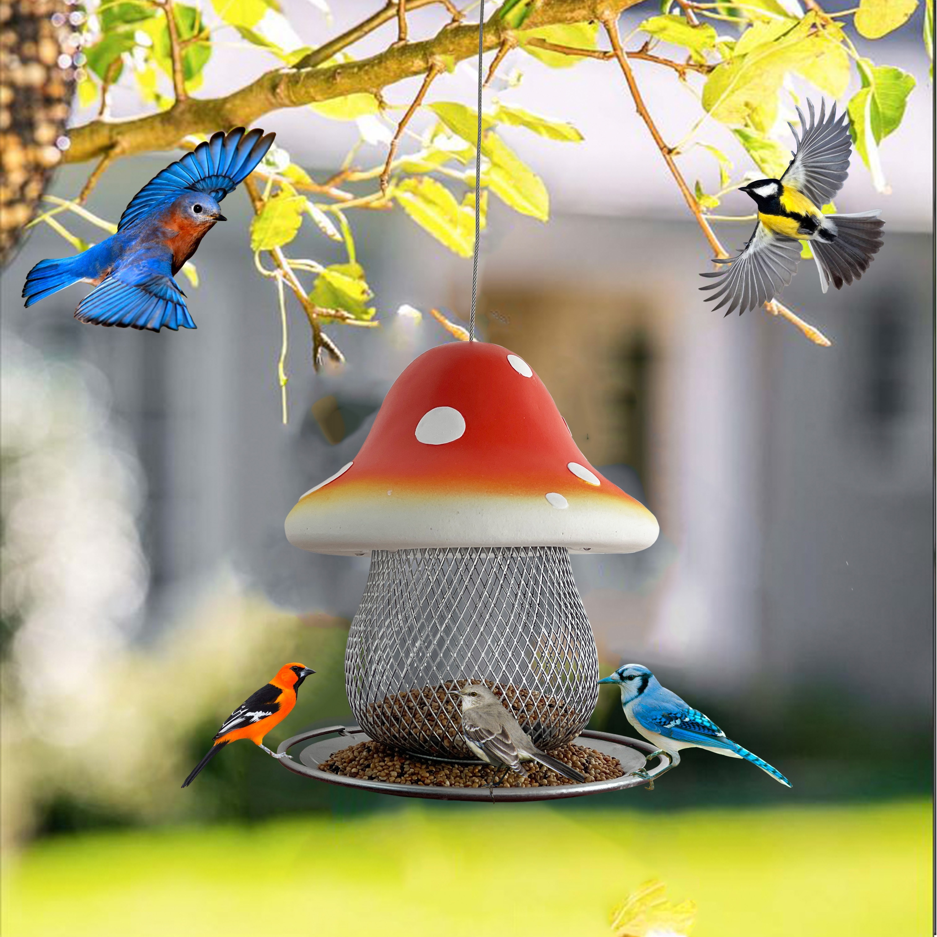 Mangeoire à oiseaux pour extérieur, fenêtre avec ventouses puissantes pour  oiseaux sauvages, cardinal, bleu : : Jardin