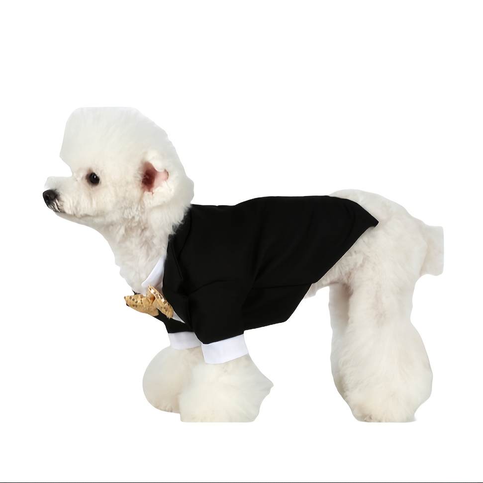 Formal dog clearance clothes