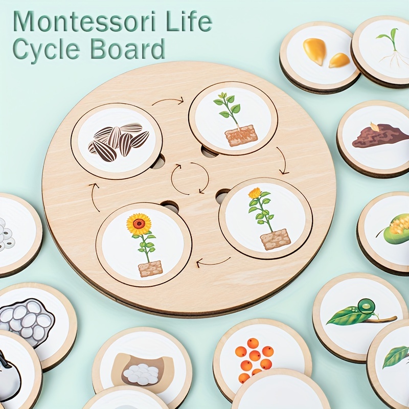 

Wooden Montessori Life Cycle Circulation Toy Tray Toy, Life Cycle Change Puzzle Enlightenment Educational Toy Cognitive Educational Toy, Christmas Halloween Gift Toddler Class Educational Toy