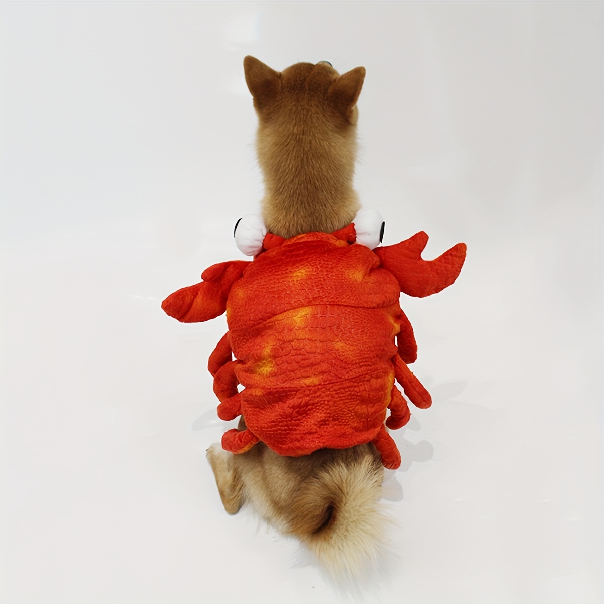 9 ideas de Disfraz de cangrejo  disfraz de cangrejo, cangrejo
