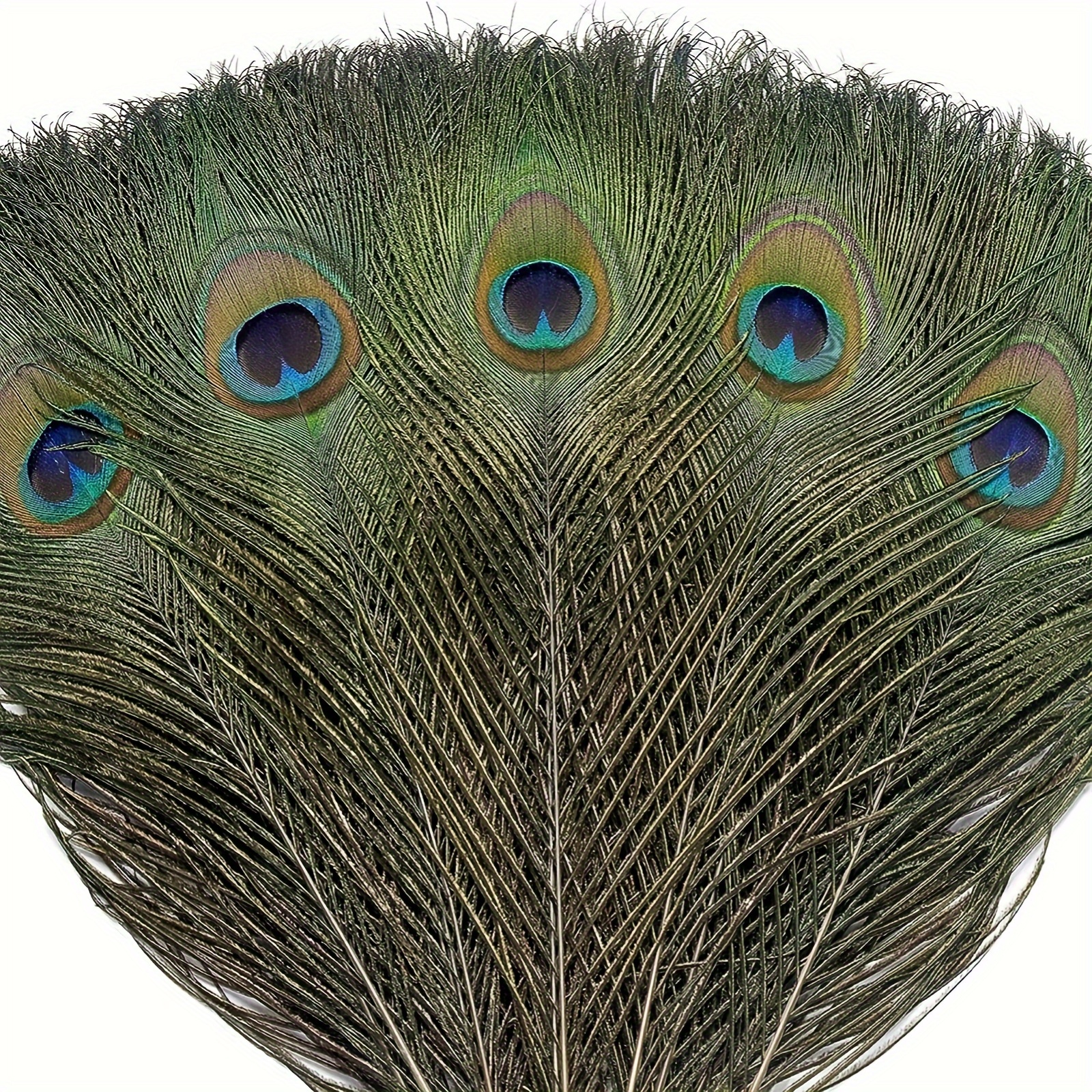 Peacock Feathers Feather Decoration Craft Creative Peacock - Temu