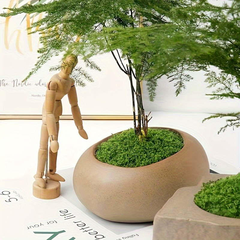 Cojín de musgo preservado de musgo verde natural, decorativo, verde  natural, kit de bricolaje de arte de jardinería, decoración de pared,  decoración