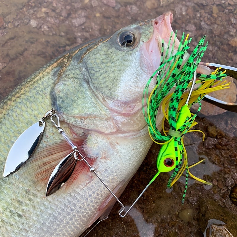 Largemouth Bass and Spinner Bait